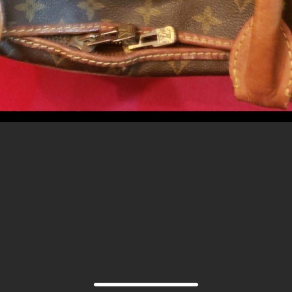 🥳WOW!!!!BOW WOW!!!LOUIS VUITTON monogram SAC CHIEN (40) TRAVEL BAG FOR YOUR PET. - Picture 10 of 13